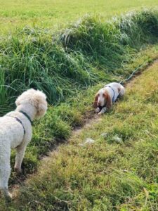 WhatsApp Image 2025-05-14 at 16.01.45 (2)