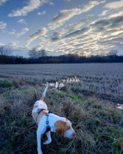 WhatsApp Image 2025-05-14 at 16.01.49 (4)